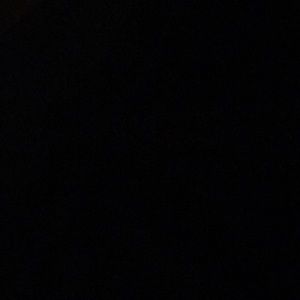 Meet your Posher, Dina